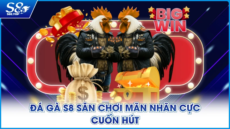 Đá Gà S8 sân chơi mãn nhãn cực cuốn hút