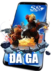 đá gà s8e top